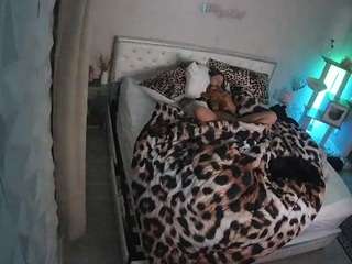 voyeurcam-whitneyoc-01