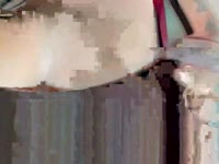 hi all! i am new here  what you like to do here?