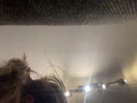 A little playful and shy, I wouldn