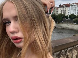 liveshow AmberWindow