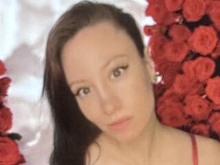 live teaser web cam Annenay