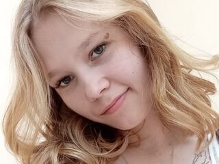 adult webcam chatroom DainePostema